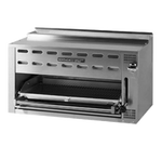 Montague Salamander Broiler